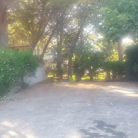 Marina Trabia